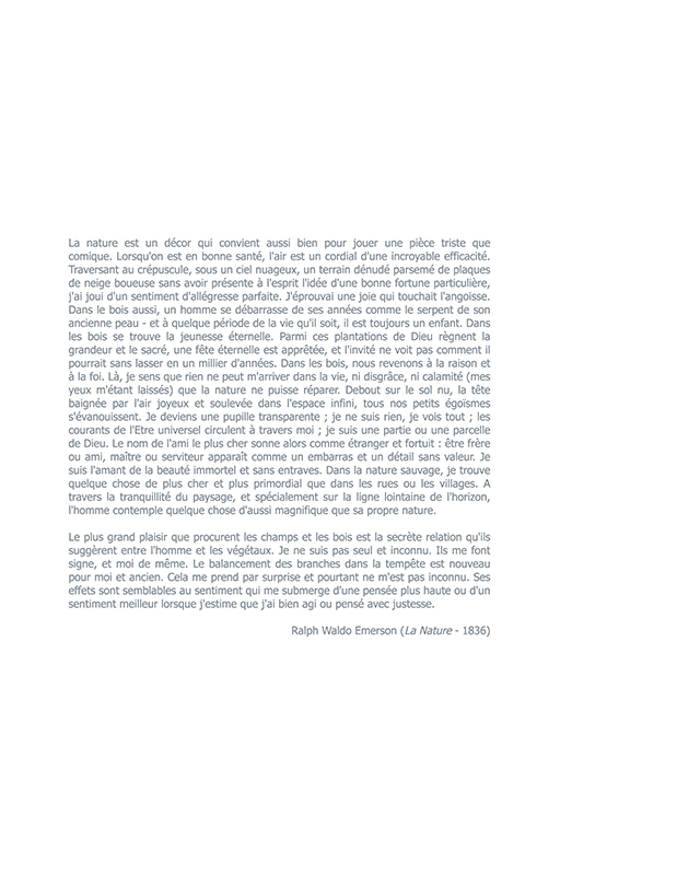 http://frederickcarnet.com/files/gimgs/194_1191chroniquesdunasbolu-20.jpg